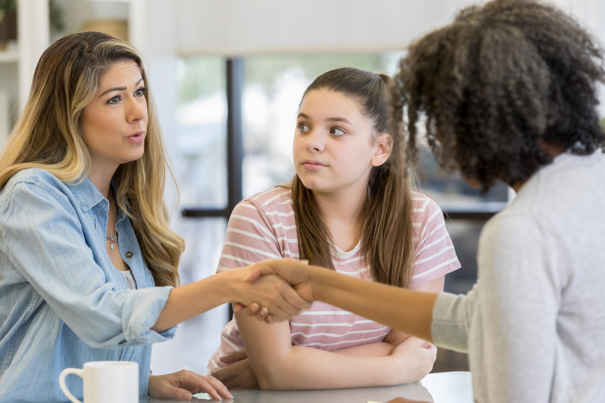 Mediation PPC - Parenting Plan